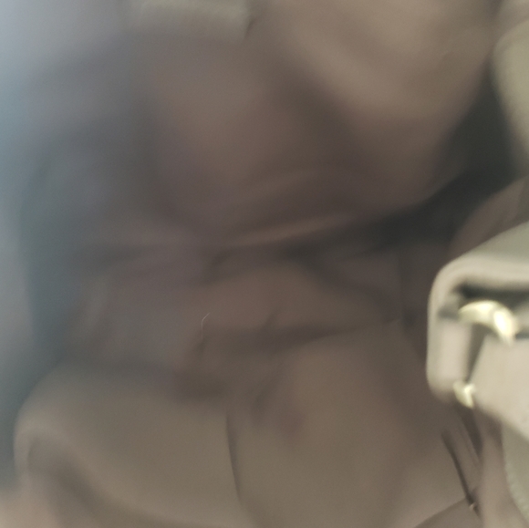 Adorable Fall Handbag - Picture 3 of 4